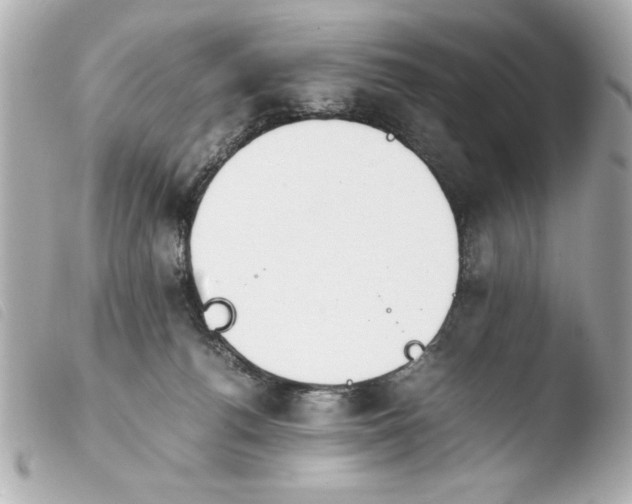 X0000103900176200810031157