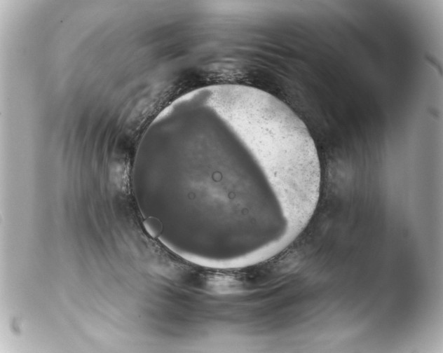 X0000103900177200810031157