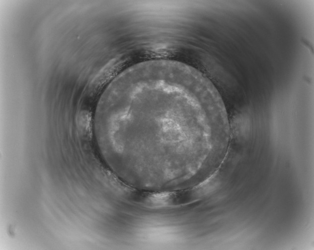 X0000103900178200810031157