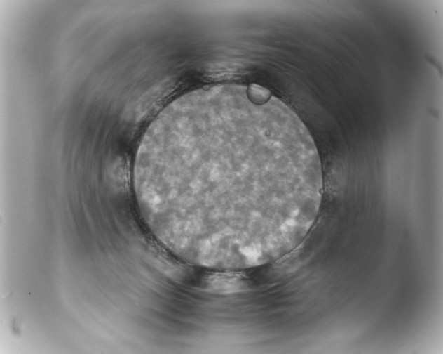 X0000103900179200810031157