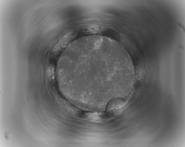 X0000103900182200810031157