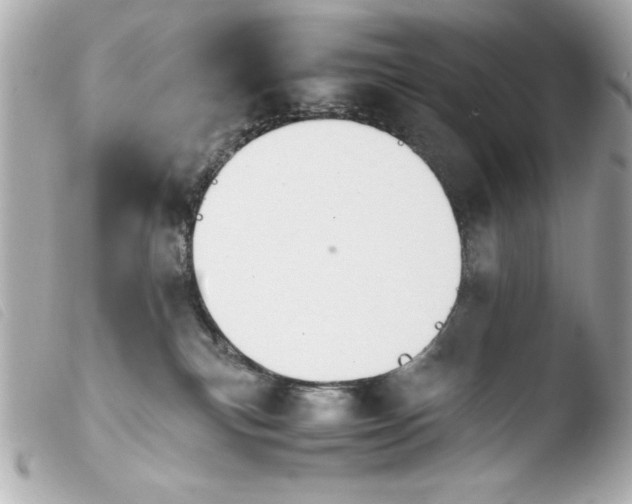 X0000103900183200810031157