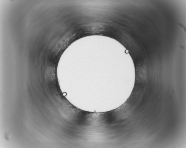 X0000103900184200810031157