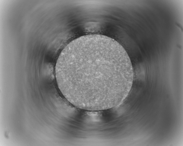 X0000103900187200810031158