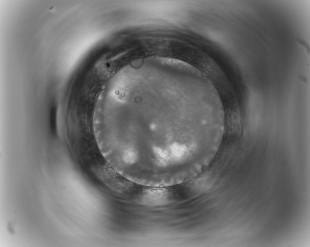 X0000103900189200810031158