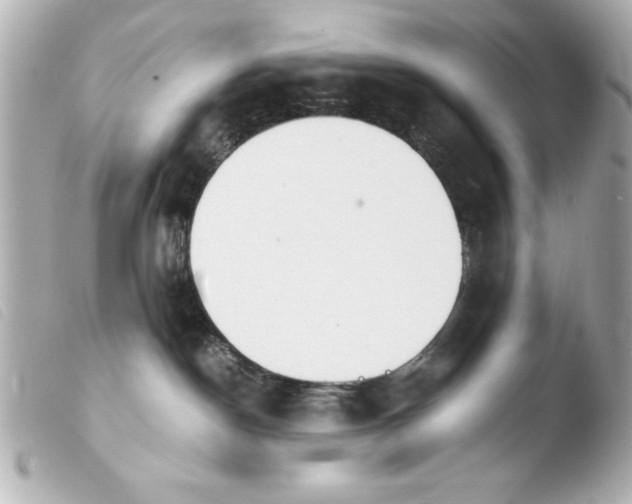 X0000103900190200810031158