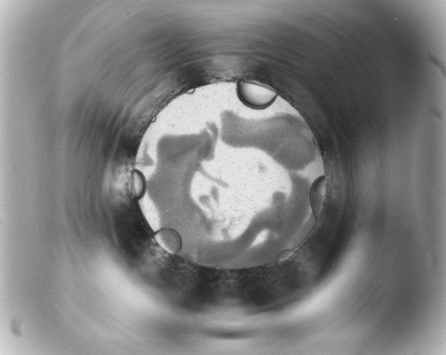 X0000103900191200810031158