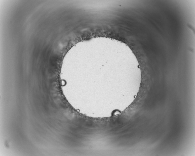 X0000103900192200810031158