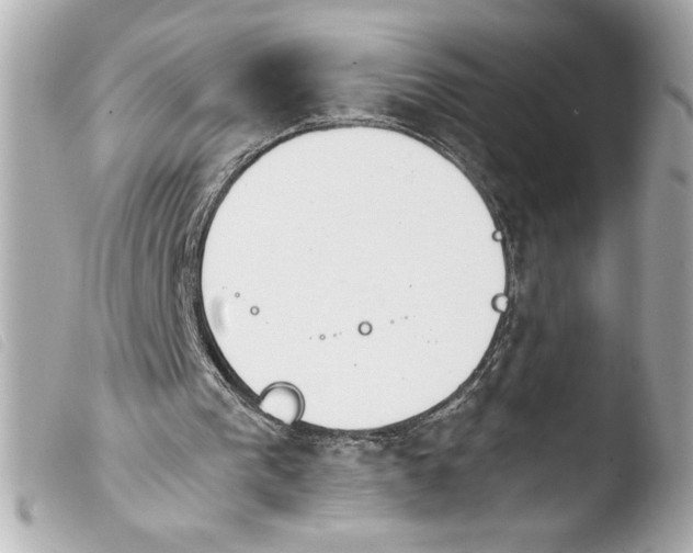 X0000103900193200810031157