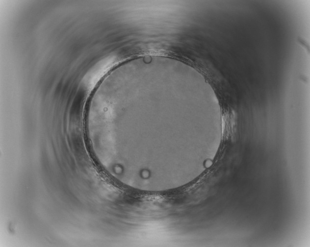 X0000103900195200810031157