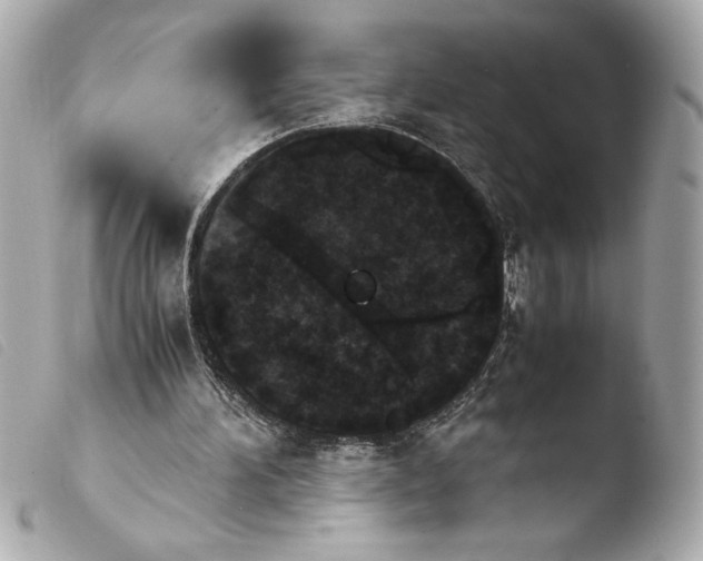 X0000103900196200810031157