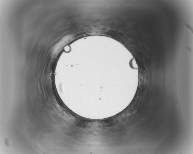 X0000103900197200810031157