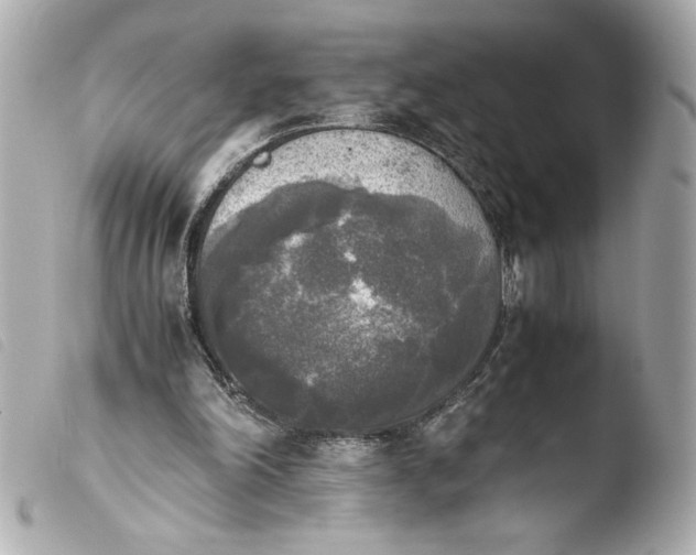 X0000103900198200810031157