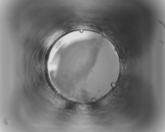 X0000103900199200810031157