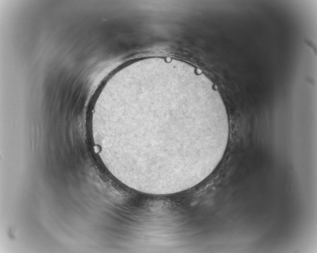 X0000103900200200810031157