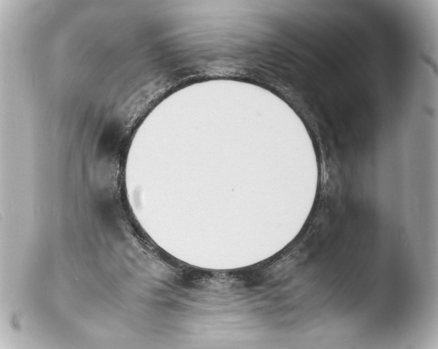 X0000103900201200810031157