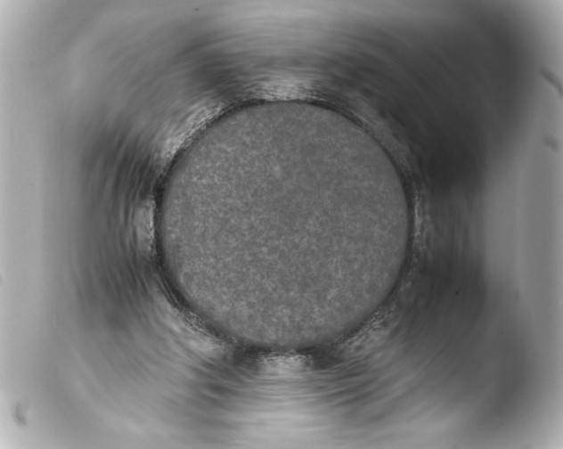 X0000103900202200810031157