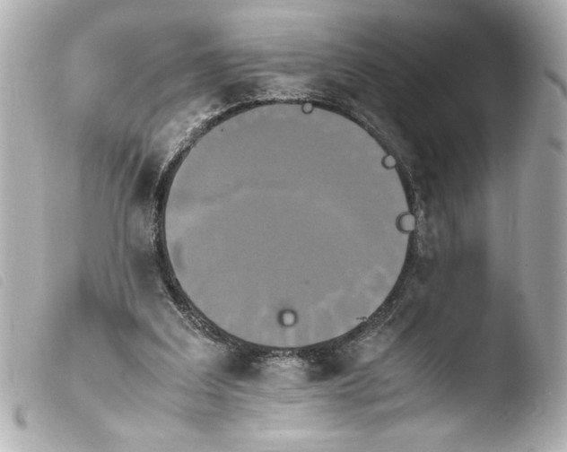 X0000103900203200810031157