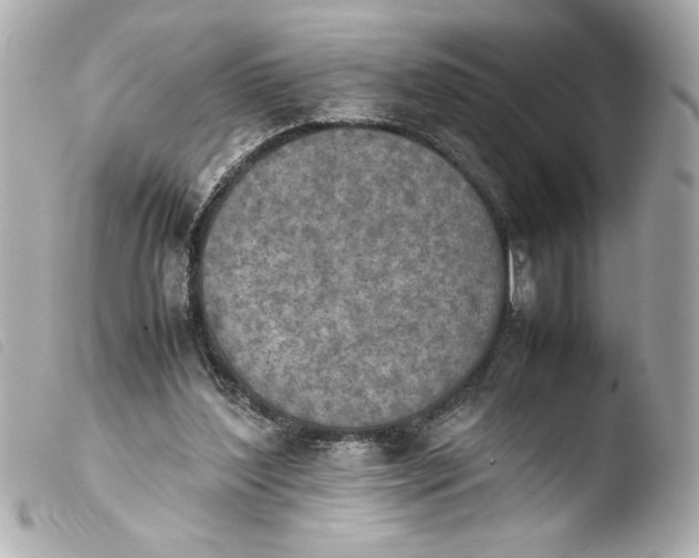 X0000103900204200810031157