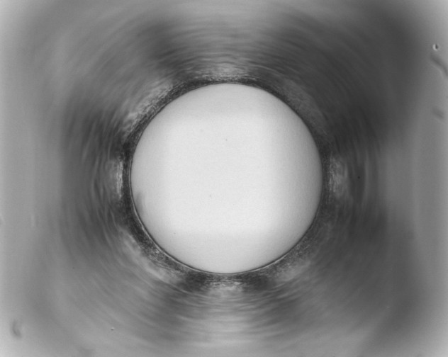 X0000103900206200810031157