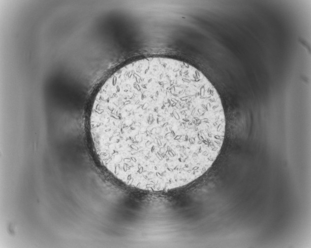 X0000103900207200810031157