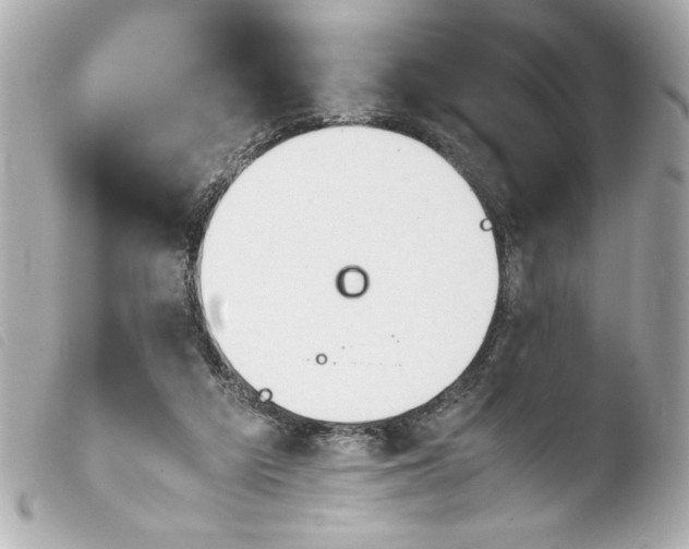 X0000103900209200810031157