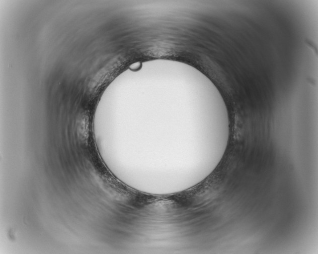 X0000103900210200810031157