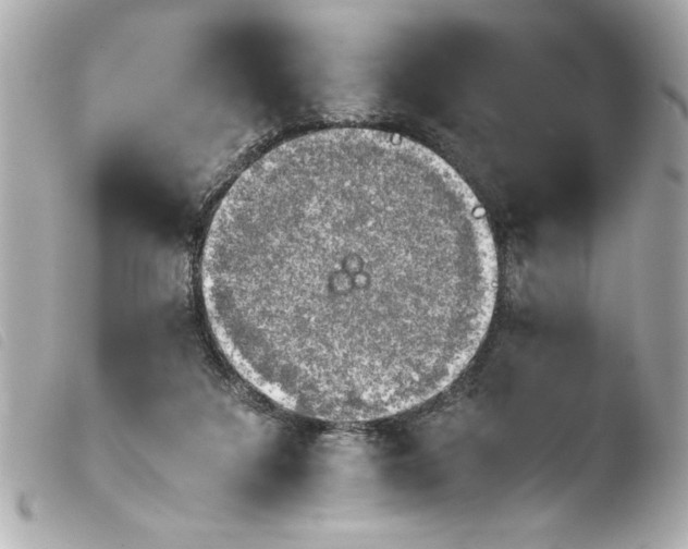 X0000103900211200810031157