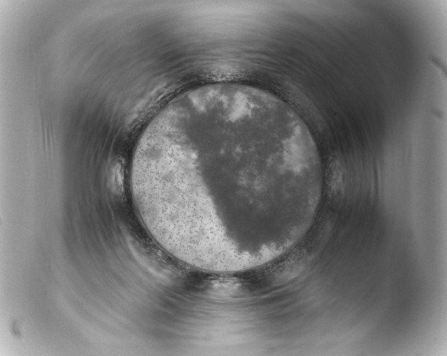 X0000103900214200810031157