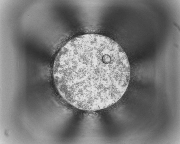 X0000103900215200810031157