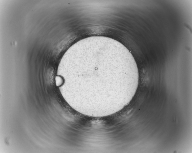 X0000103900216200810031157