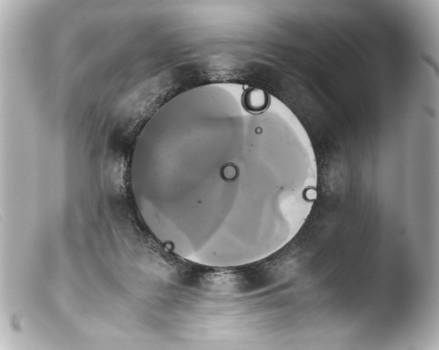 X0000103900219200810031157