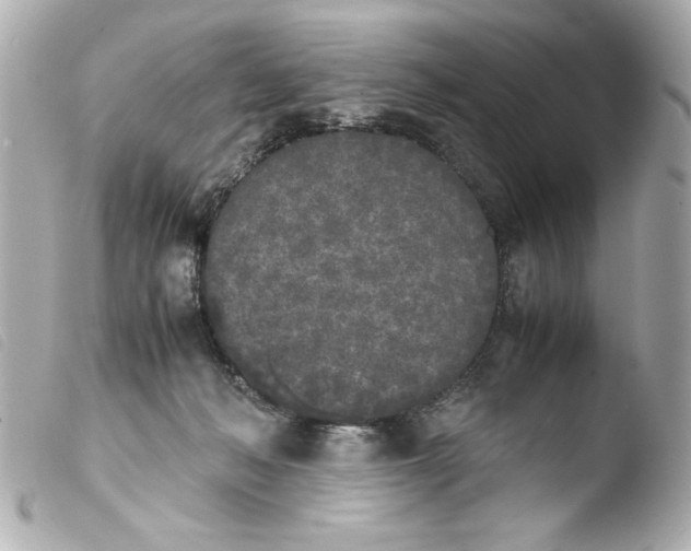 X0000103900222200810031157