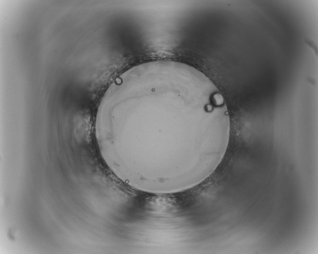 X0000103900223200810031157