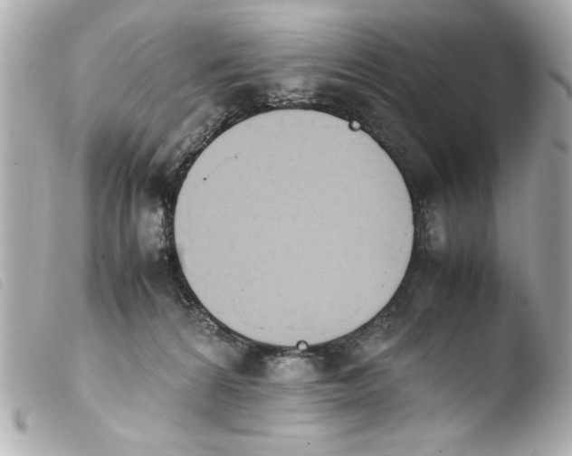 X0000103900224200810031157