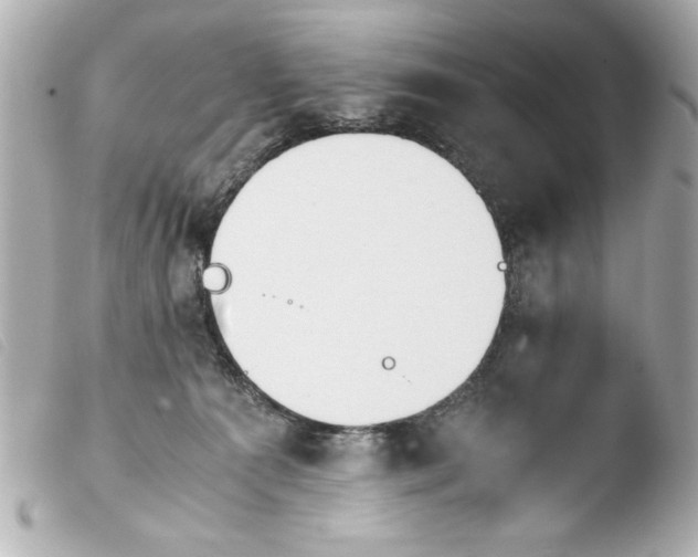 X0000103900225200810031156