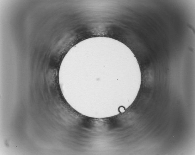 X0000103900229200810031156