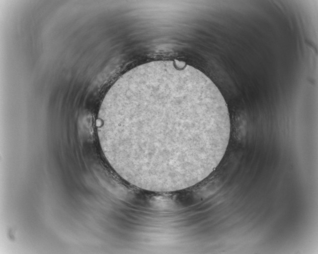 X0000103900232200810031156