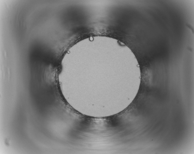 X0000103900233200810031156