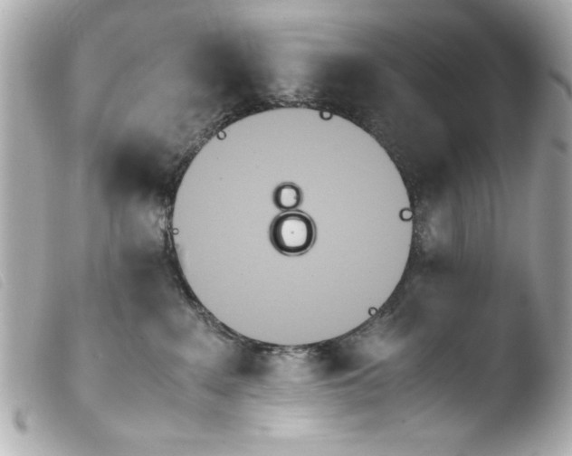 X0000103900235200810031156