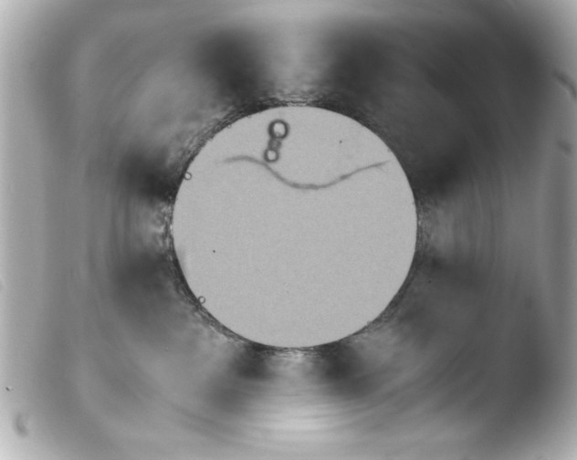 X0000103900237200810031156