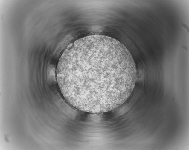 X0000103900238200810031156