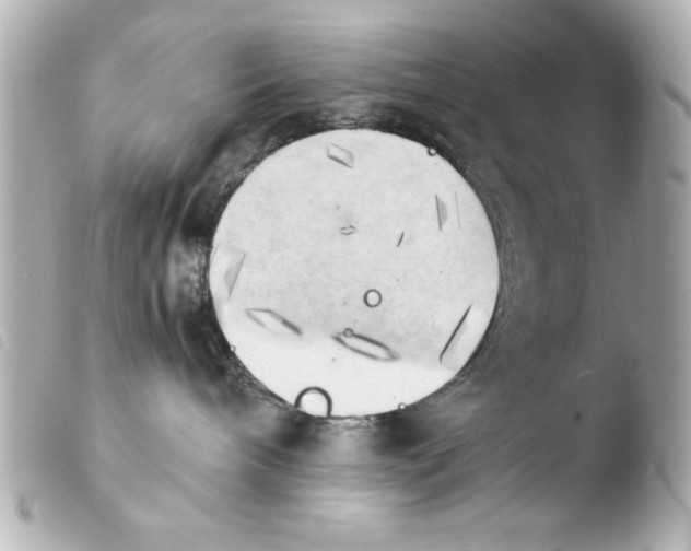 X0000103900240200810031156