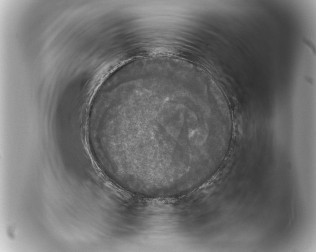 X0000103900241200810031156