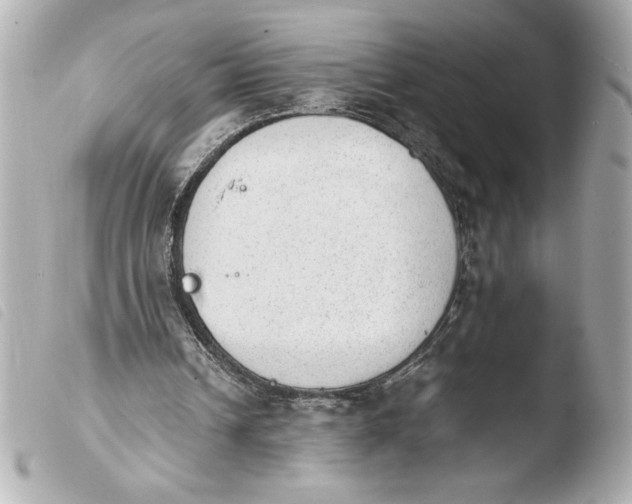 X0000103900242200810031156