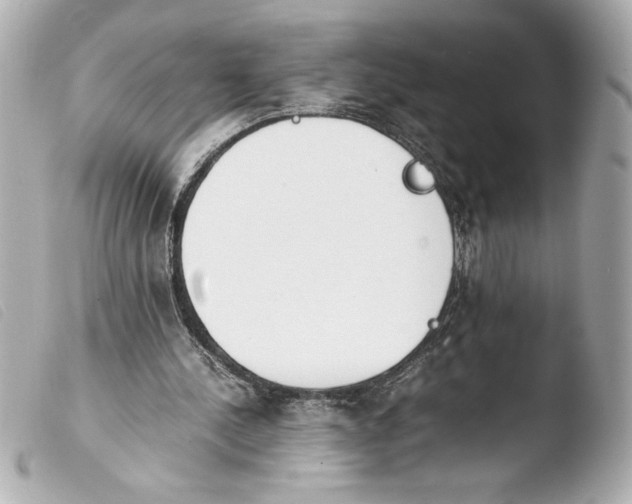 X0000103900244200810031156