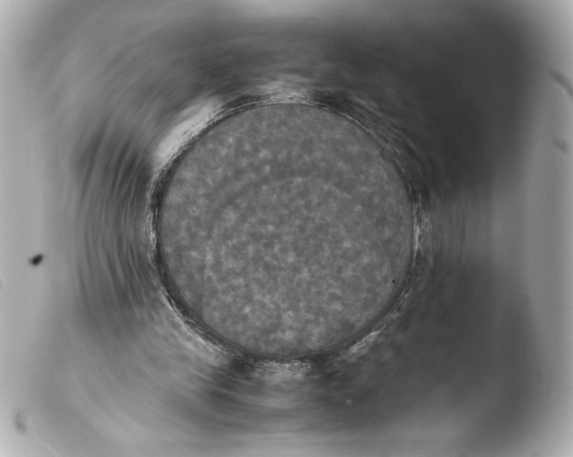 X0000103900245200810031156