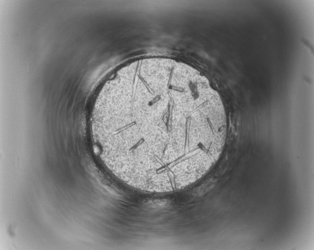 X0000103900247200810031156