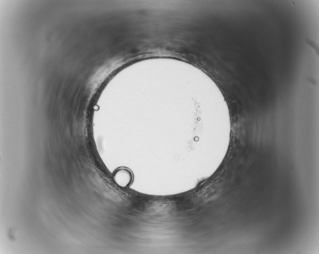 X0000103900248200810031156