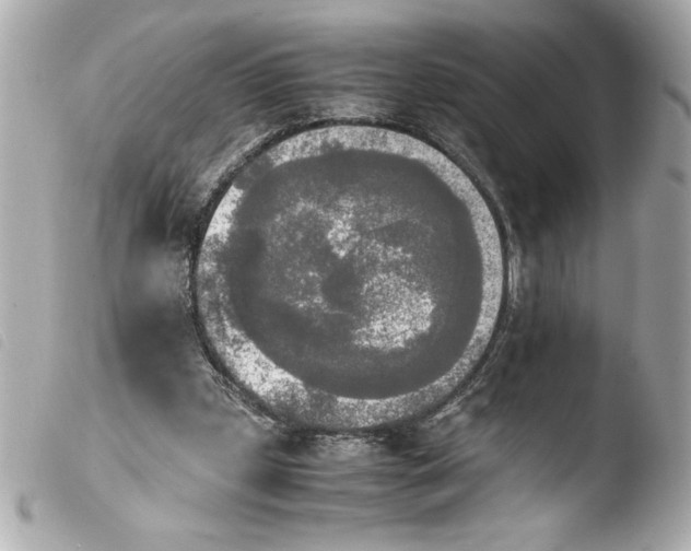 X0000103900249200810031156